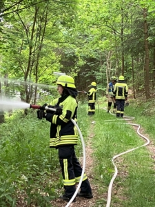 Das Foto zeigt eine Feuerwehrfrau im Wald mit einem D-Hohlstrahlrohr. Im Hintergrund sind weitere Feuerwehrleite zu sehen.
